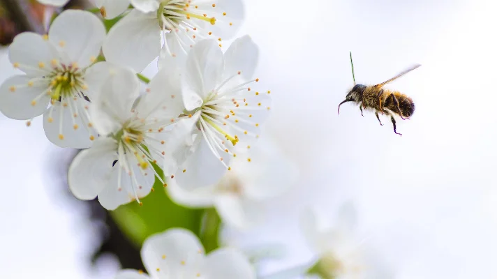 How to make a difference with your own patch of green